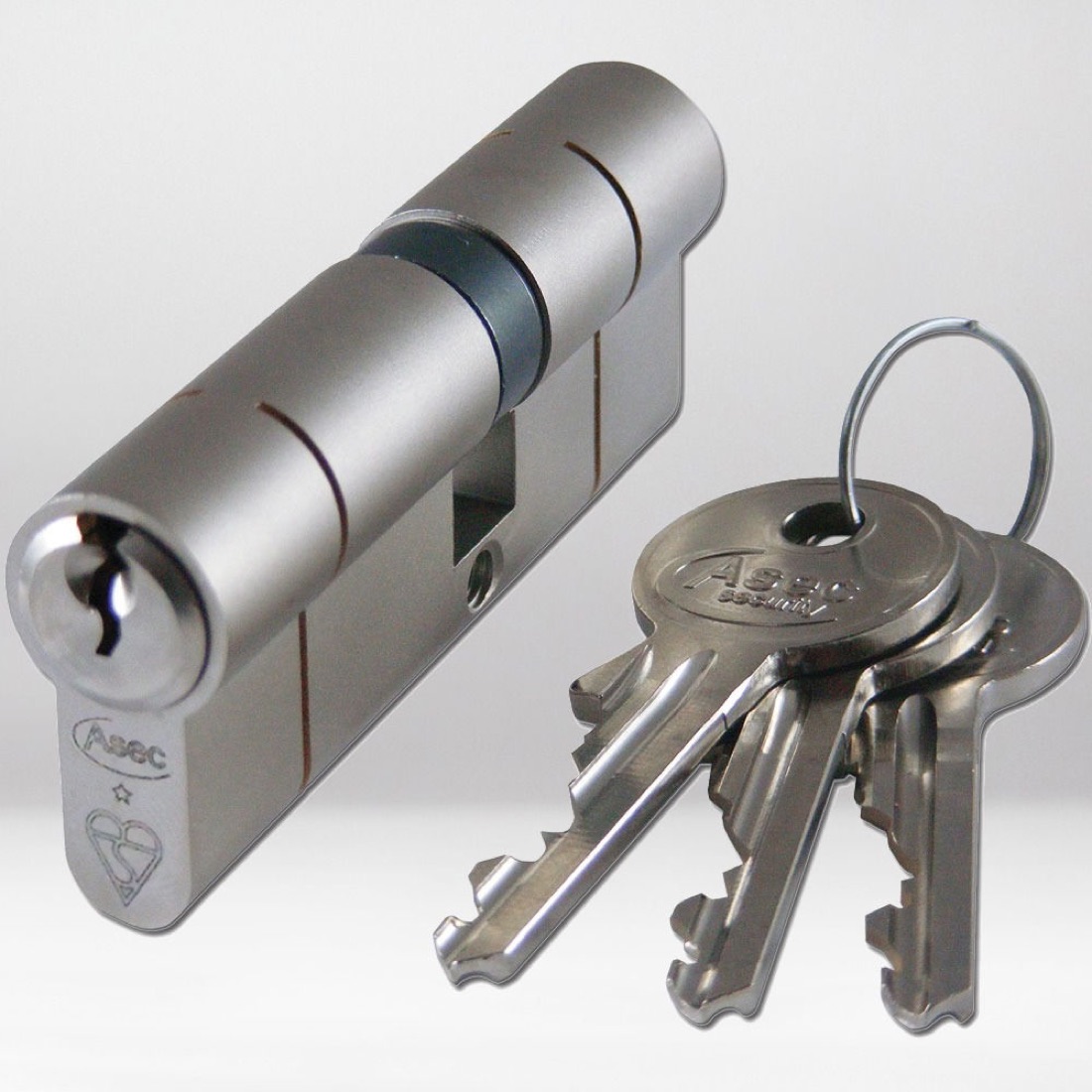 Euro cylinder and keys